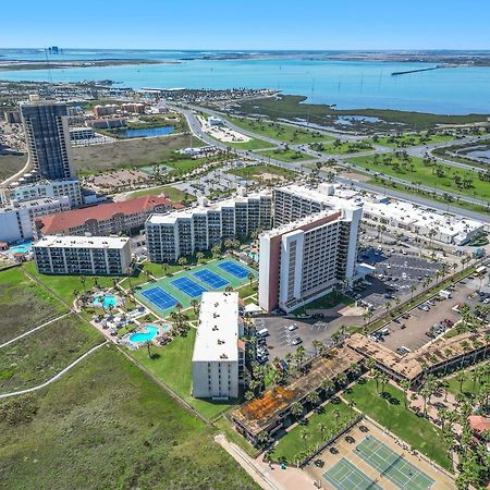1204 Saida I - Beach Front South Padre Island Zewnętrze zdjęcie